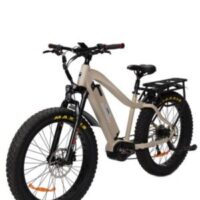 BAKCOU MULE 21AH ELECTRIC BIKE