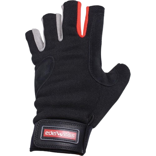 image-removebg-preview - 2025-04-03T205713.059 FIVE FINGERLESS GLOVE - LARGE
