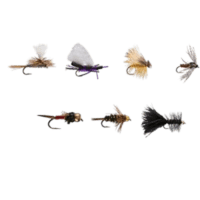 BASIC TROUT ASSORTMENT