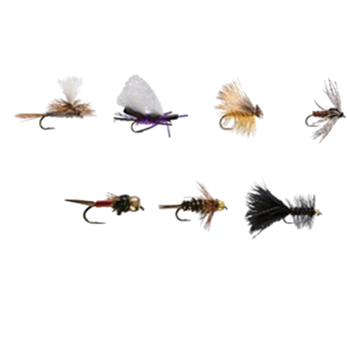 image-removebg-preview - 2025-04-07T165441.293 BASIC TROUT ASSORTMENT