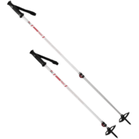 image-removebg-preview (85) DYNALOCK TRAIL TREKKING POLES