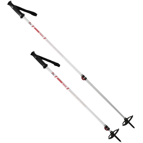 image-removebg-preview (85) DYNALOCK TRAIL TREKKING POLES