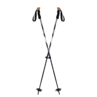 image-removebg-preview (87) TRAIL WALKING 2PC POLES