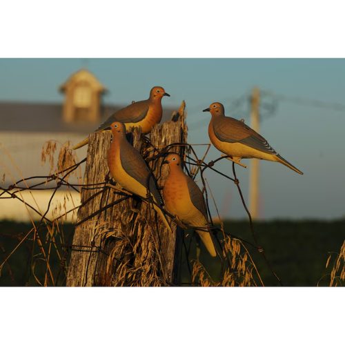 GHG Mourning Dove Decoy 6PK
